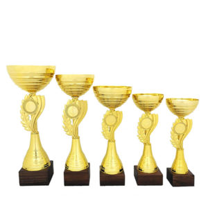 Кубки Веспер на дереве купить для награждения