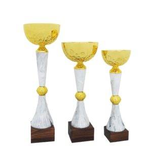 Кубки Алжир купить для награждения