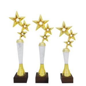 Награды Три звезды купить для награждения