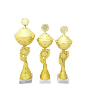 Кубки Веспер с крышкой купить для награждения