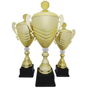 Кубки Баварія з кришкою купити для нагородження